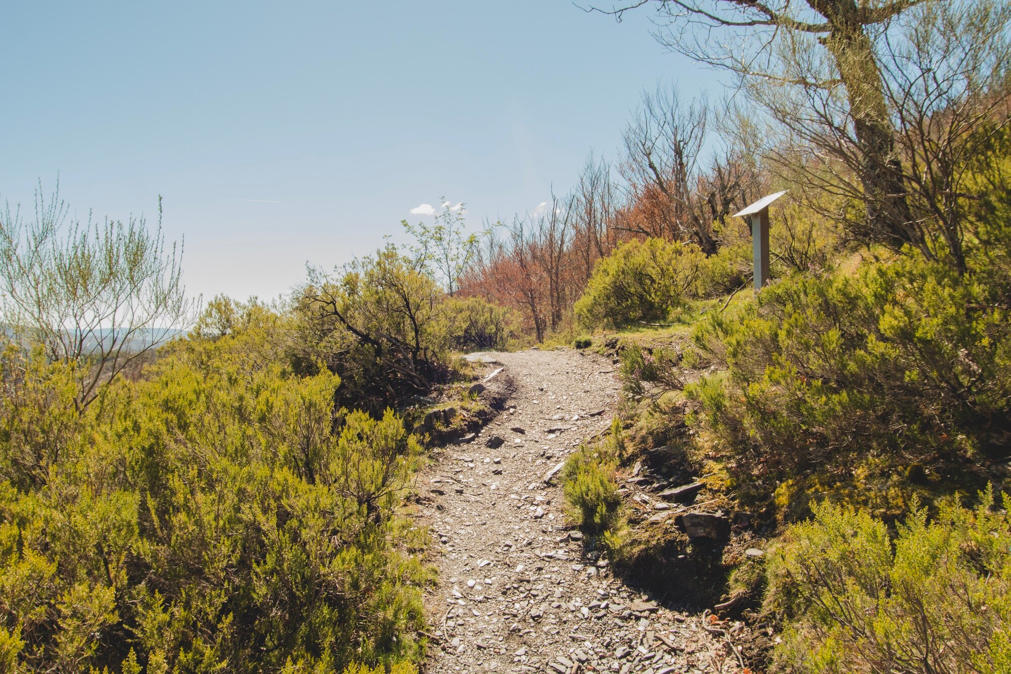 Sendero para caminar al aire libre